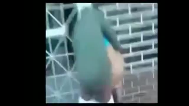 Couple Fuck In Broad Daylight