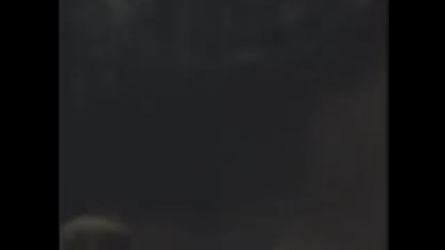 Evening Walk Through Forest Ends Up With Gangbang
